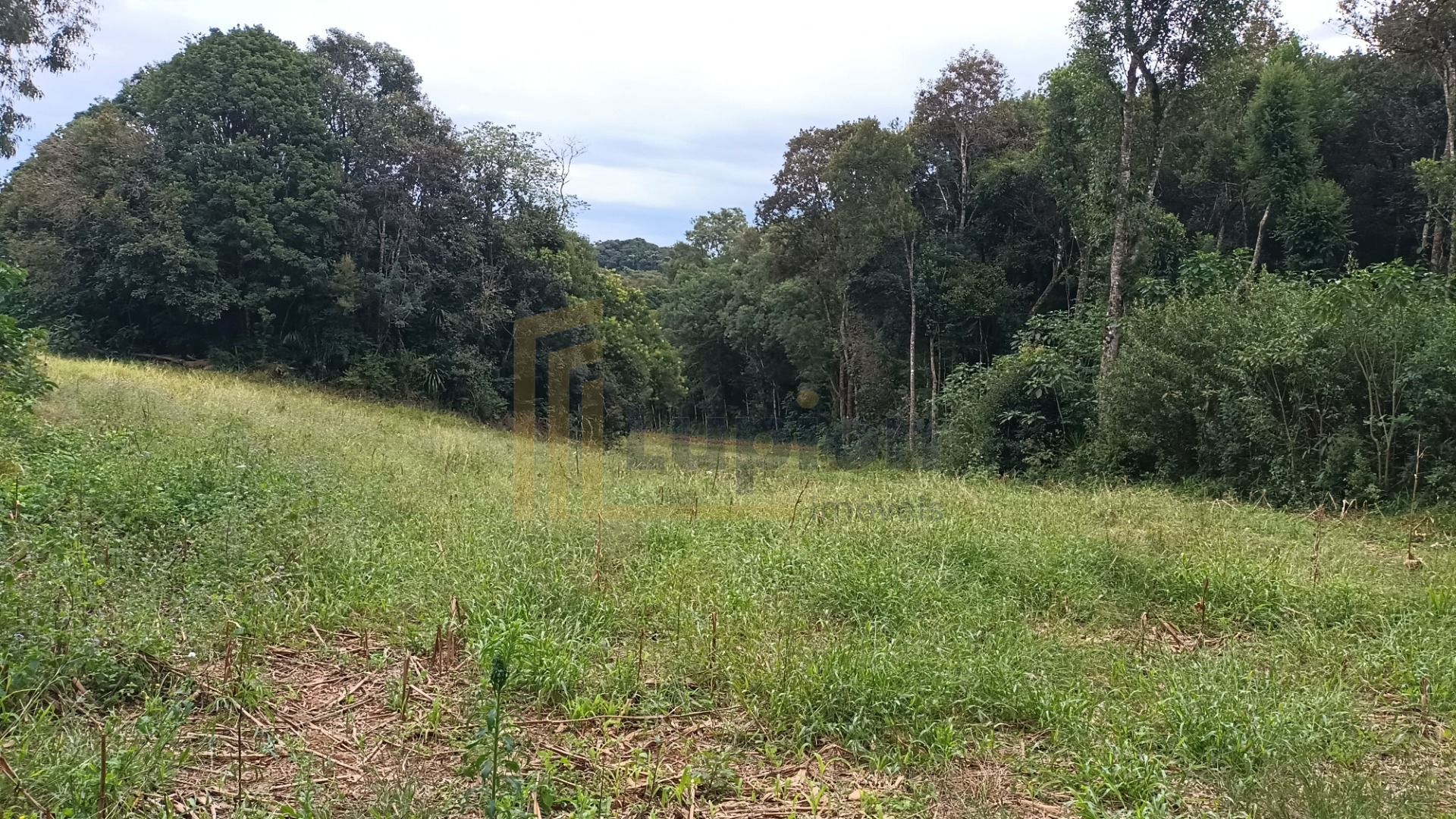Chácara dos Sonhos em Araucária  24.300m  de Natureza e Tranqu...