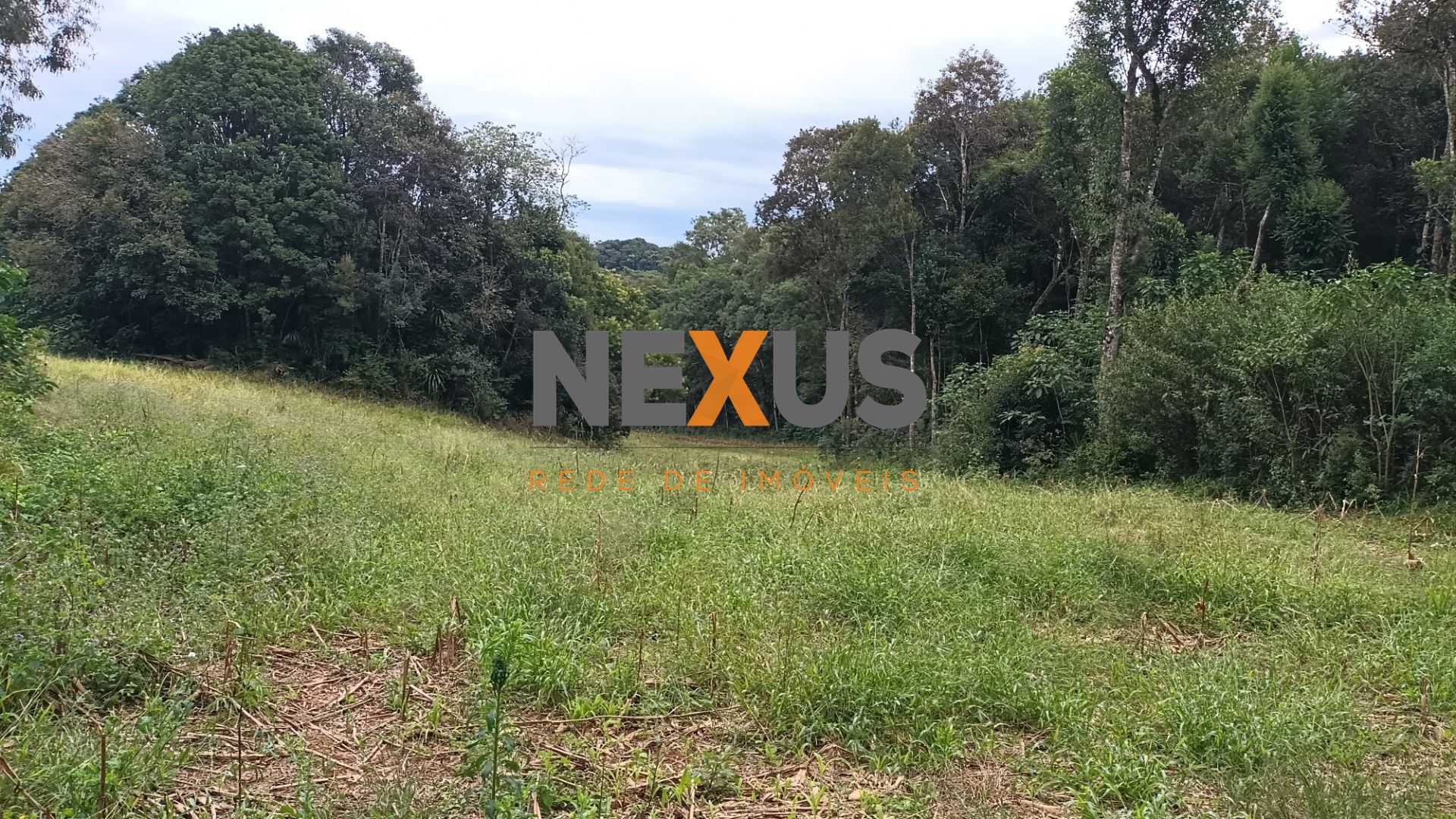 Chácara dos Sonhos em Araucária  24.300m  de Natureza e Tranqu...