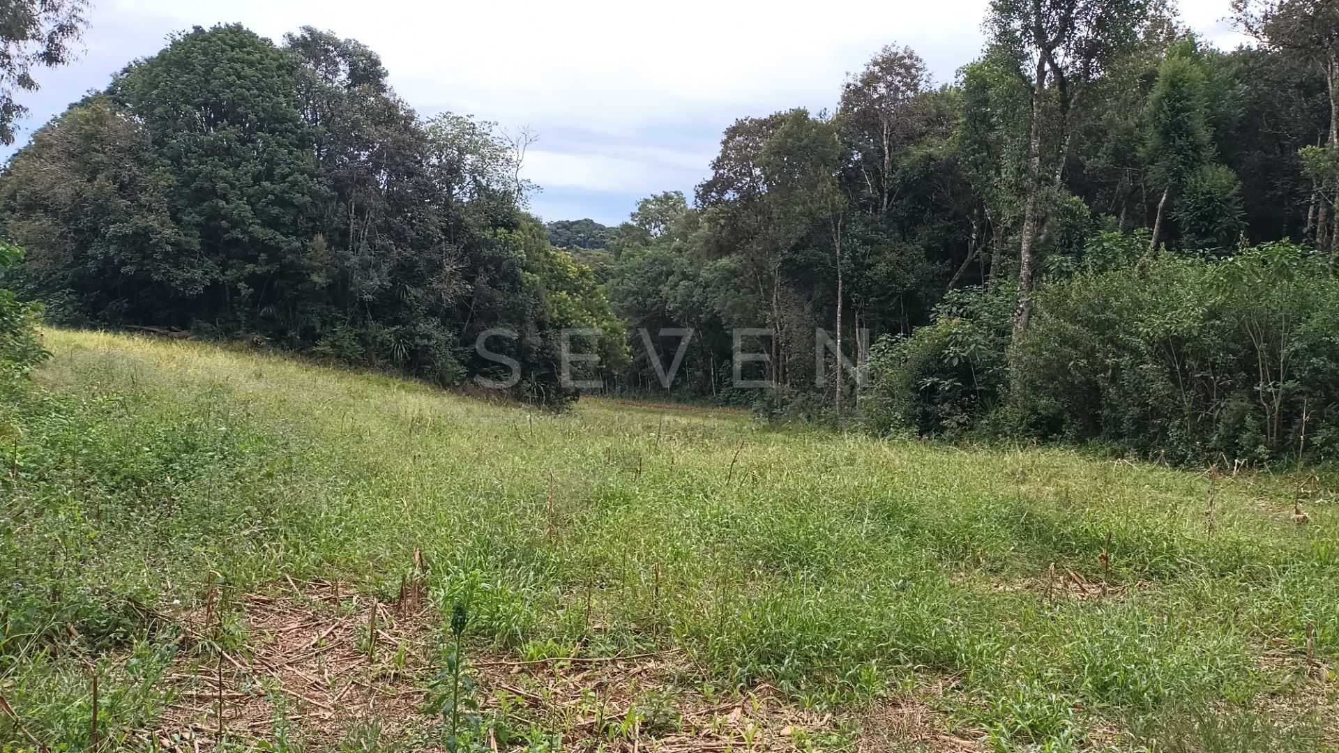 Chácara dos Sonhos em Araucária  24.300m  de Natureza e Tranqu...
