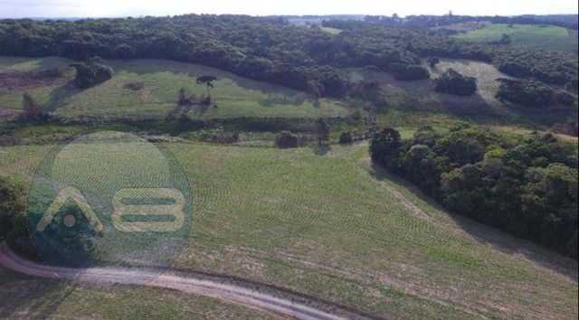 Chácara Fazenda na Lapa-PR  Paraíso Rural de 28 Alqueires à Venda