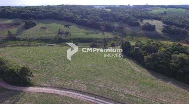 Chácara Fazenda na Lapa-PR  Paraíso Rural de 28 Alqueires à Venda