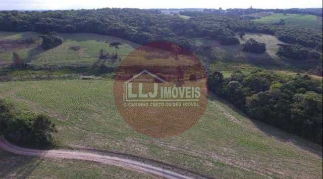 Chácara Fazenda na Lapa-PR  Paraíso Rural de 28 Alqueires à Venda