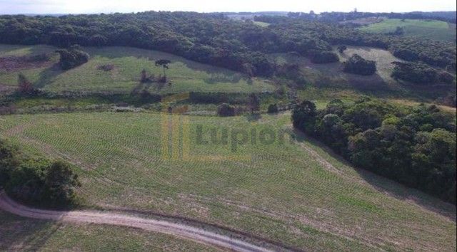 Chácara Fazenda na Lapa-PR  Paraíso Rural de 28 Alqueires à Venda