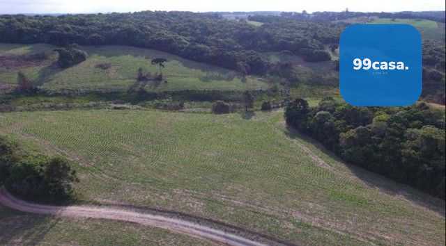 Chácara Fazenda na Lapa-PR  Paraíso Rural de 28 Alqueires à Venda