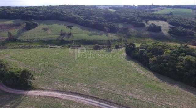 Chácara Fazenda na Lapa-PR  Paraíso Rural de 28 Alqueires à Venda