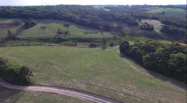 Chácara Fazenda na Lapa-PR  Paraíso Rural de 28 Alqueires à Venda