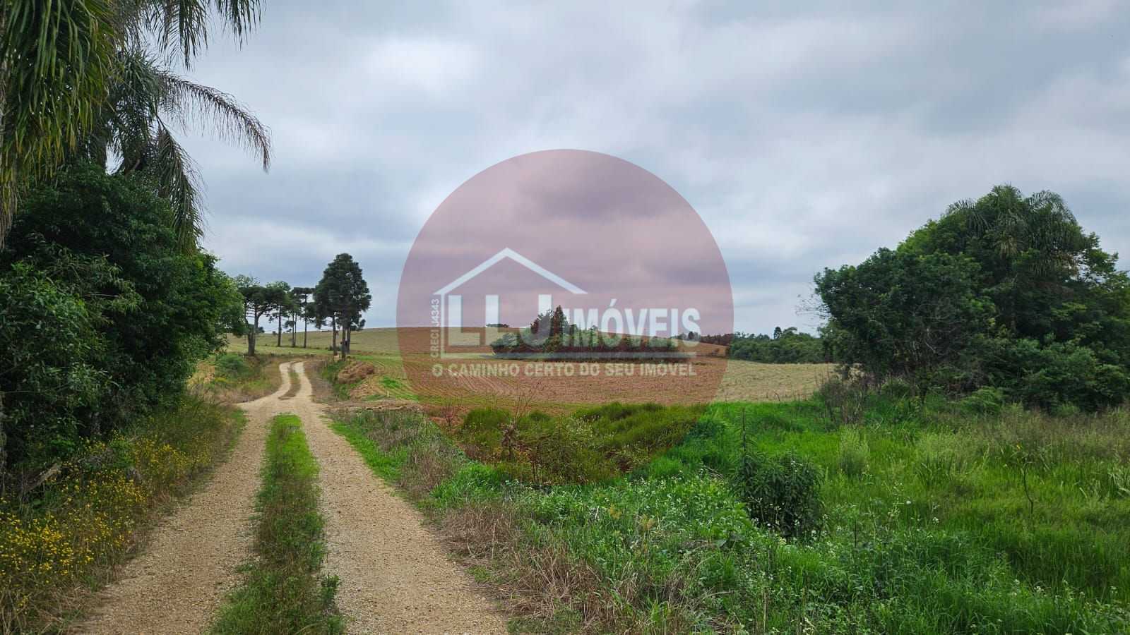 Sítio de 35 alqueires em Contenda-PR com rio, nascentes e área de plantio