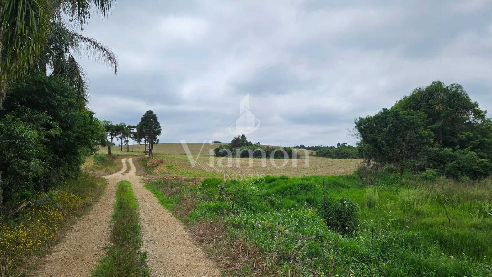 Sítio de 35 alqueires em Contenda-PR com rio, nascentes e área...