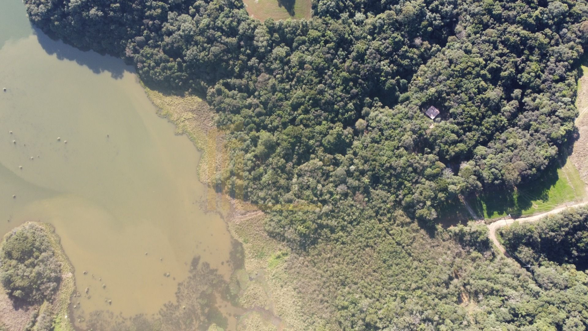 Chácara em Araucária com nascente, represa e natureza exuberan...