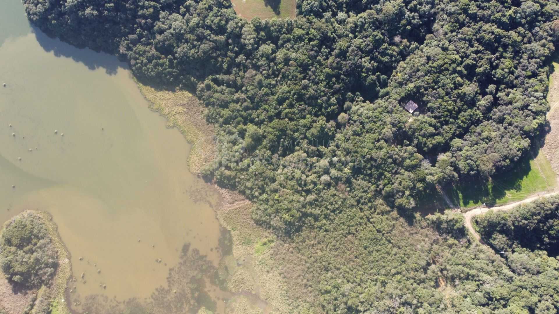 Chácara em Araucária com nascente, represa e natureza exuberan...