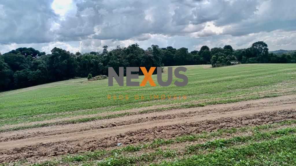 Chácara Lagoa Suja Araucária  Natureza, Tranquilidade e Acesso...