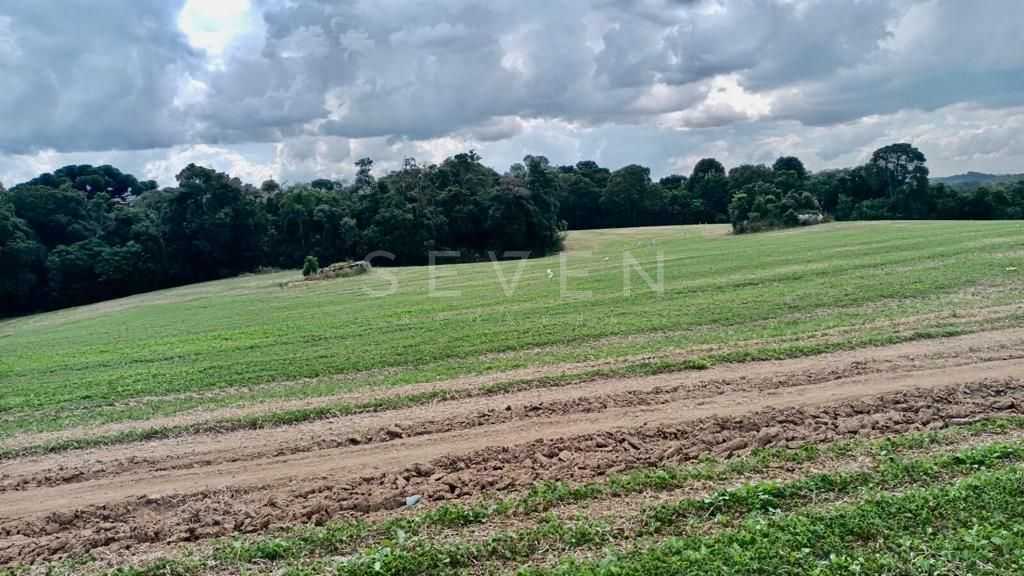 Chácara com 23606m  ,  de frente para o asfalto, em Araucária