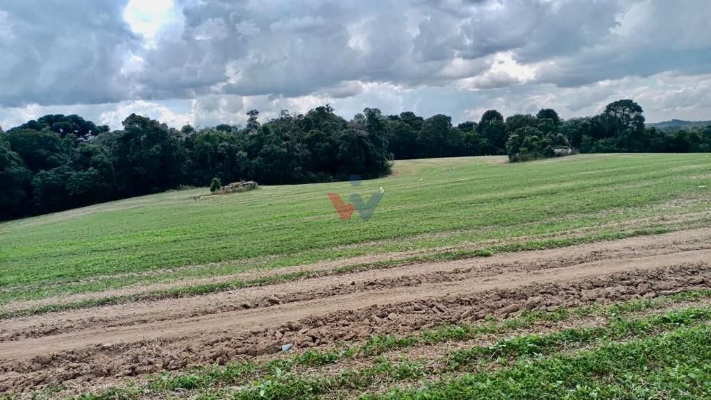 Chácara Lagoa Suja Araucária  Natureza, Tranquilidade e Acesso...