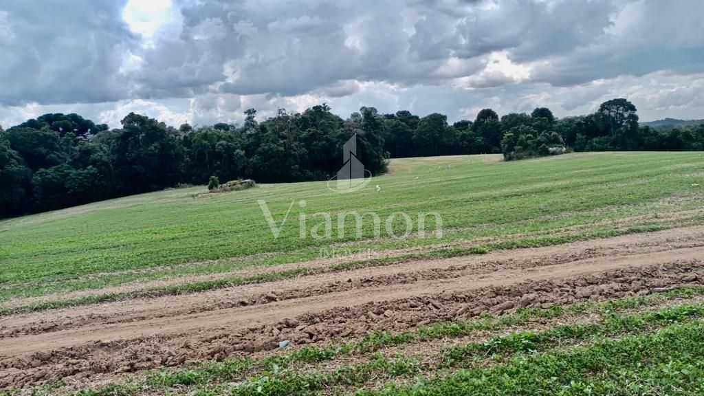 Chácara Lagoa Suja Araucária  Natureza, Tranquilidade e Acesso...
