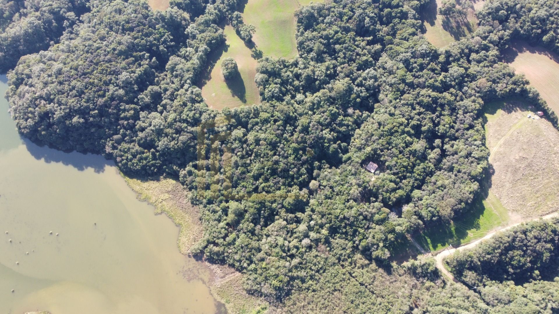 Chácara em Araucária com nascente, represa e natureza exuberan...
