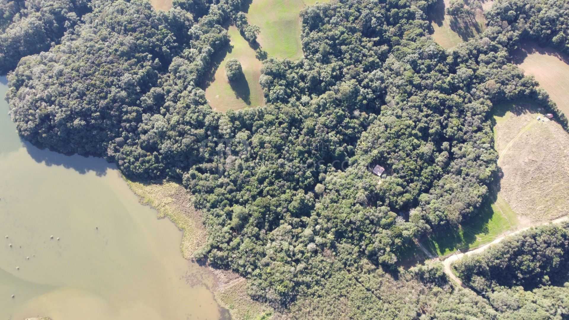 Chácara em Araucária com nascente, represa e natureza exuberan...