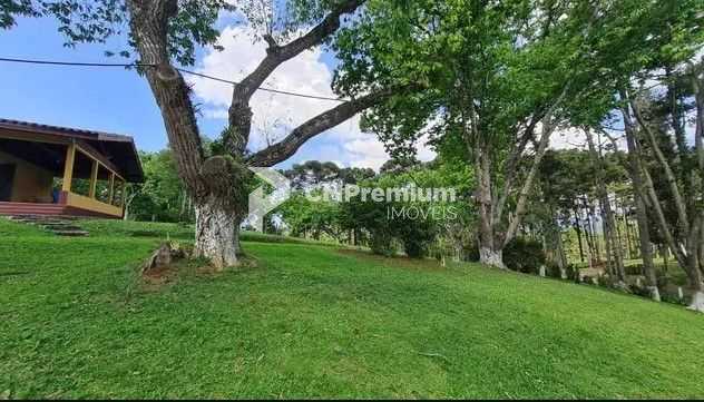 Sítio em Quatro Barras  150.000 m  com casas, pomar, campo e m...