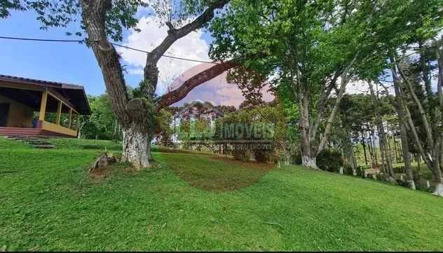 Sítio em Quatro Barras  150.000 m  com casas, pomar, campo e mata nativa