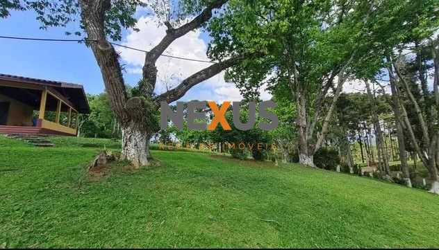 Sítio em Quatro Barras  150.000 m  com casas, pomar, campo e m...