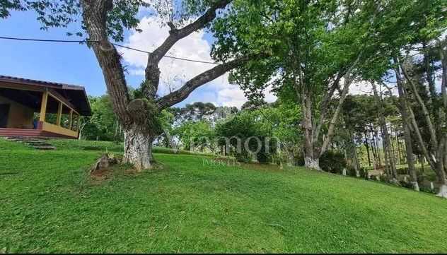 Sítio em Quatro Barras  150.000 m  com casas, pomar, campo e m...