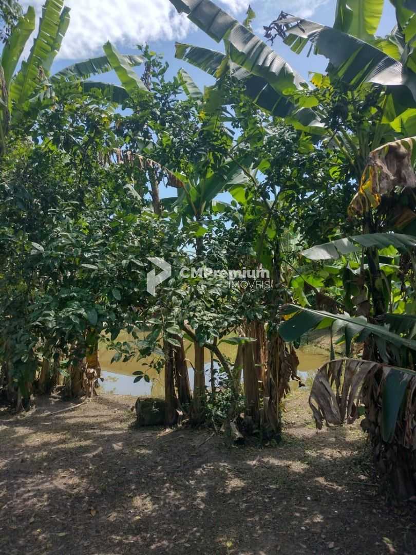 Chácara em Alexandra, Paranaguá, Casa, Tanques de Peixe e Alto...