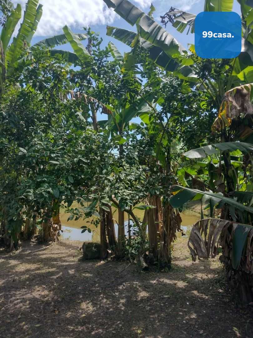 Chácara em Alexandra, Paranaguá, Casa, Tanques de Peixe e Alto...