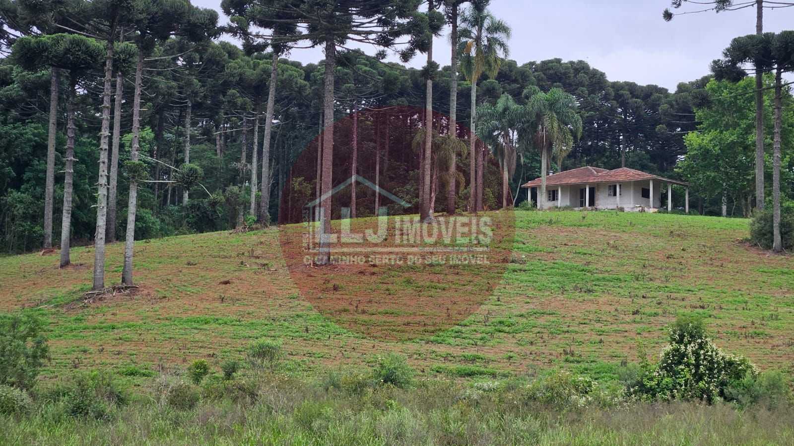 Fazenda com 70 alqueires, casa, rio e lago a 8 km da BR-476  Aberta a negociação