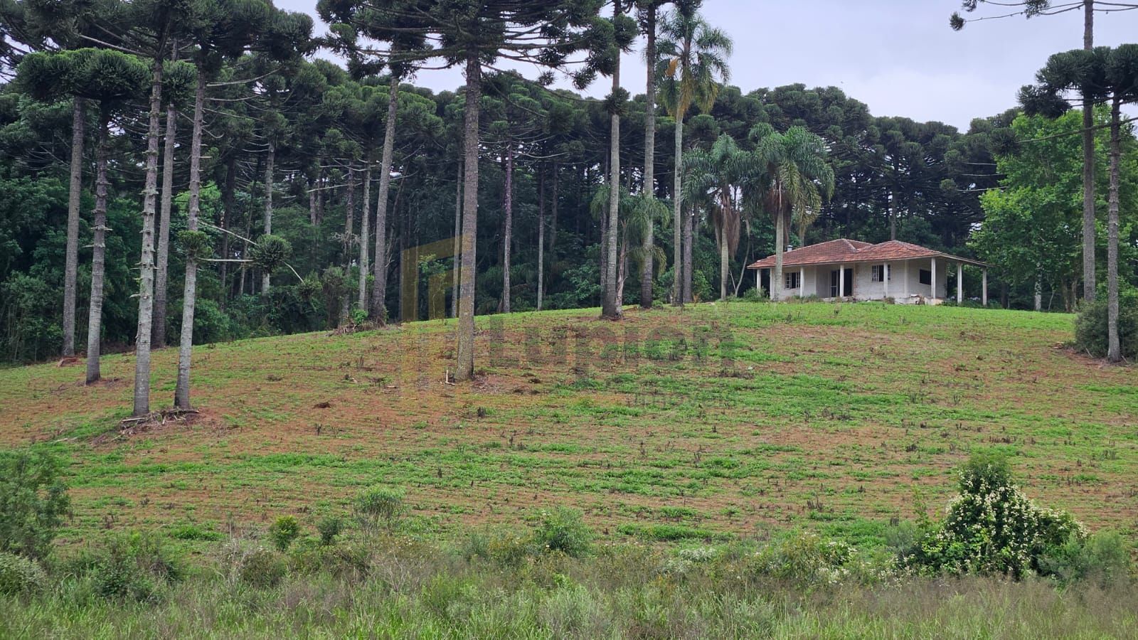 Fazenda com 70 alqueires, casa, rio e lago a 8 km da BR-476  A...