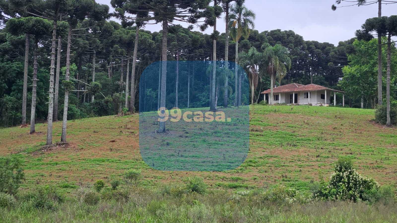 Fazenda com 70 alqueires, casa, rio e lago a 8 km da BR-476  A...