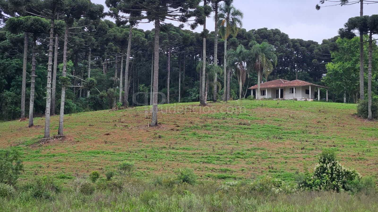 Fazenda com 70 alqueires, casa, rio e lago a 8 km da BR-476  A...