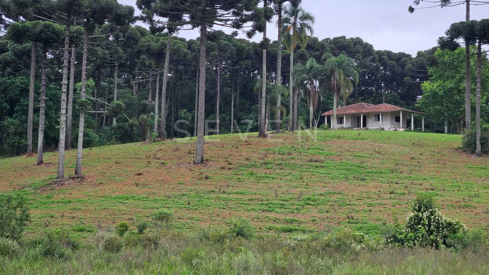 Fazenda com 70 alqueires, casa, rio e lago a 8 km da BR-476  A...