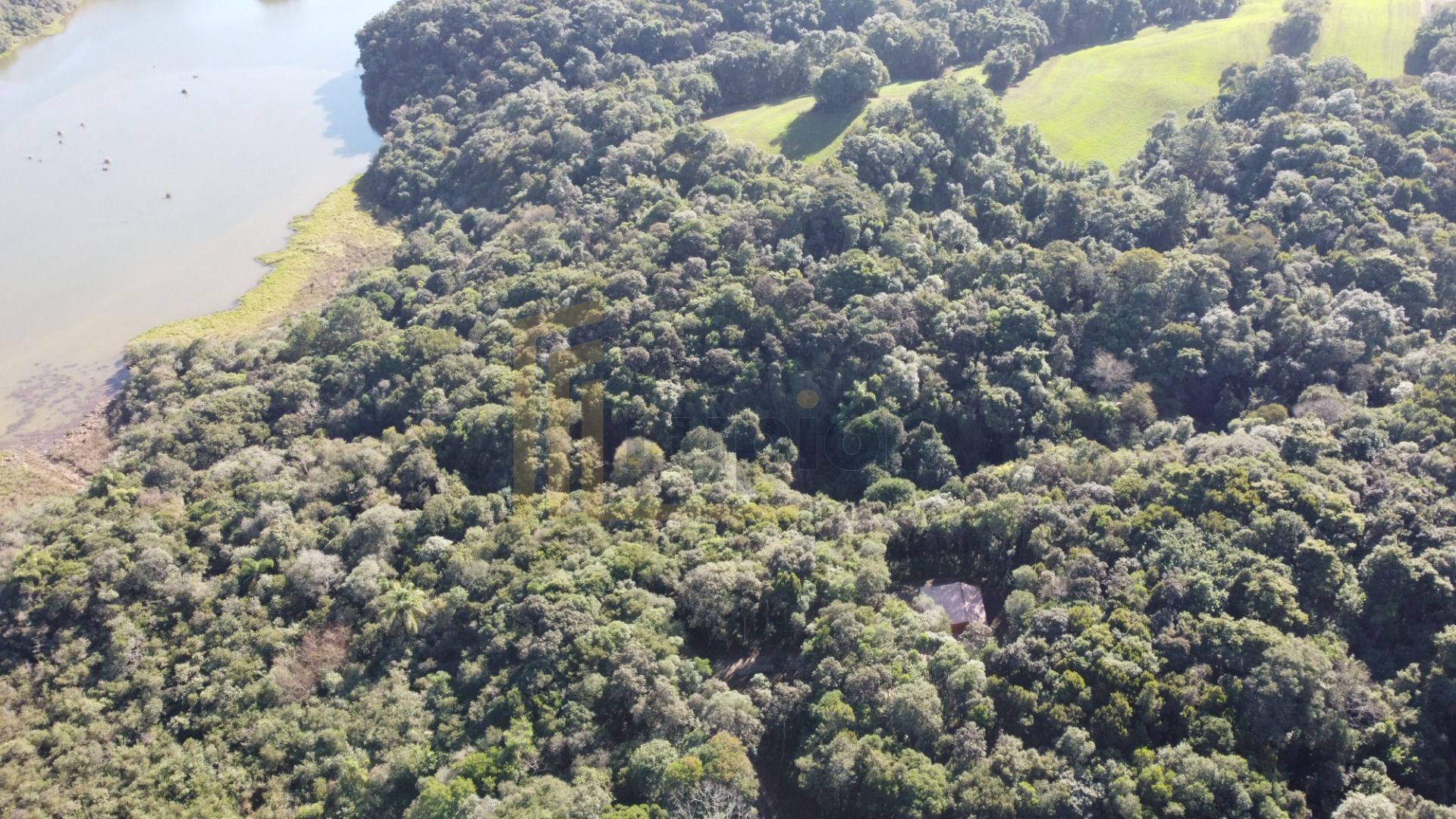 Chácara em Araucária com nascente, represa e natureza exuberan...