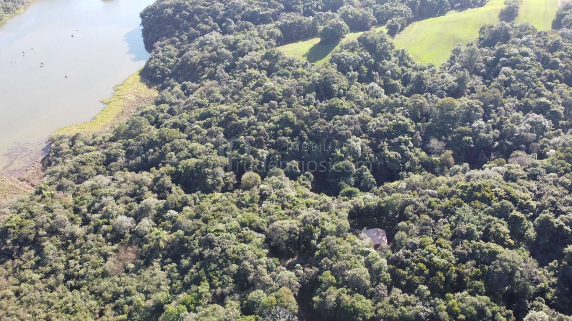 Chácara em Araucária com nascente, represa e natureza exuberan...