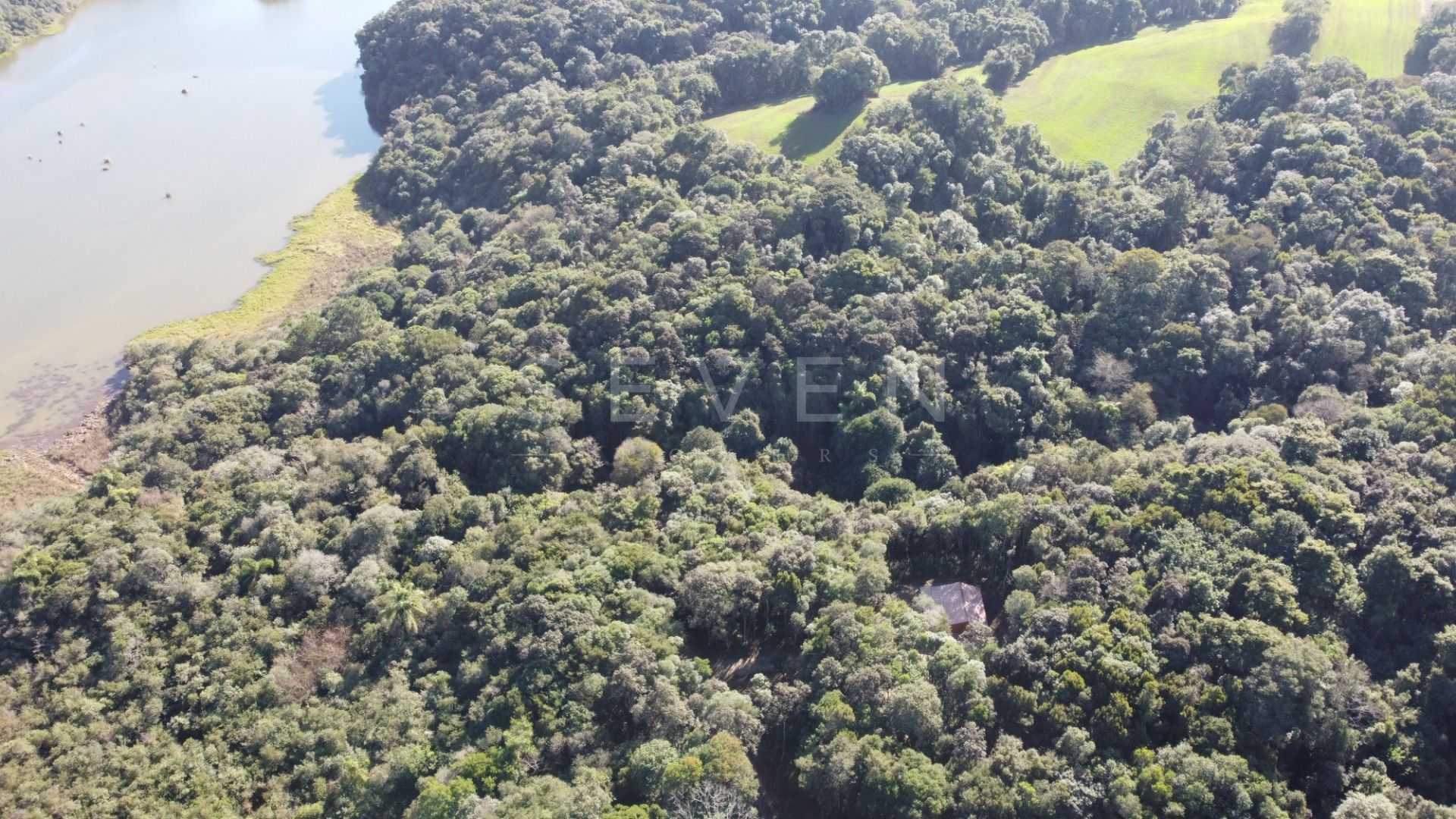 Chácara em Araucária com nascente, represa e natureza exuberan...