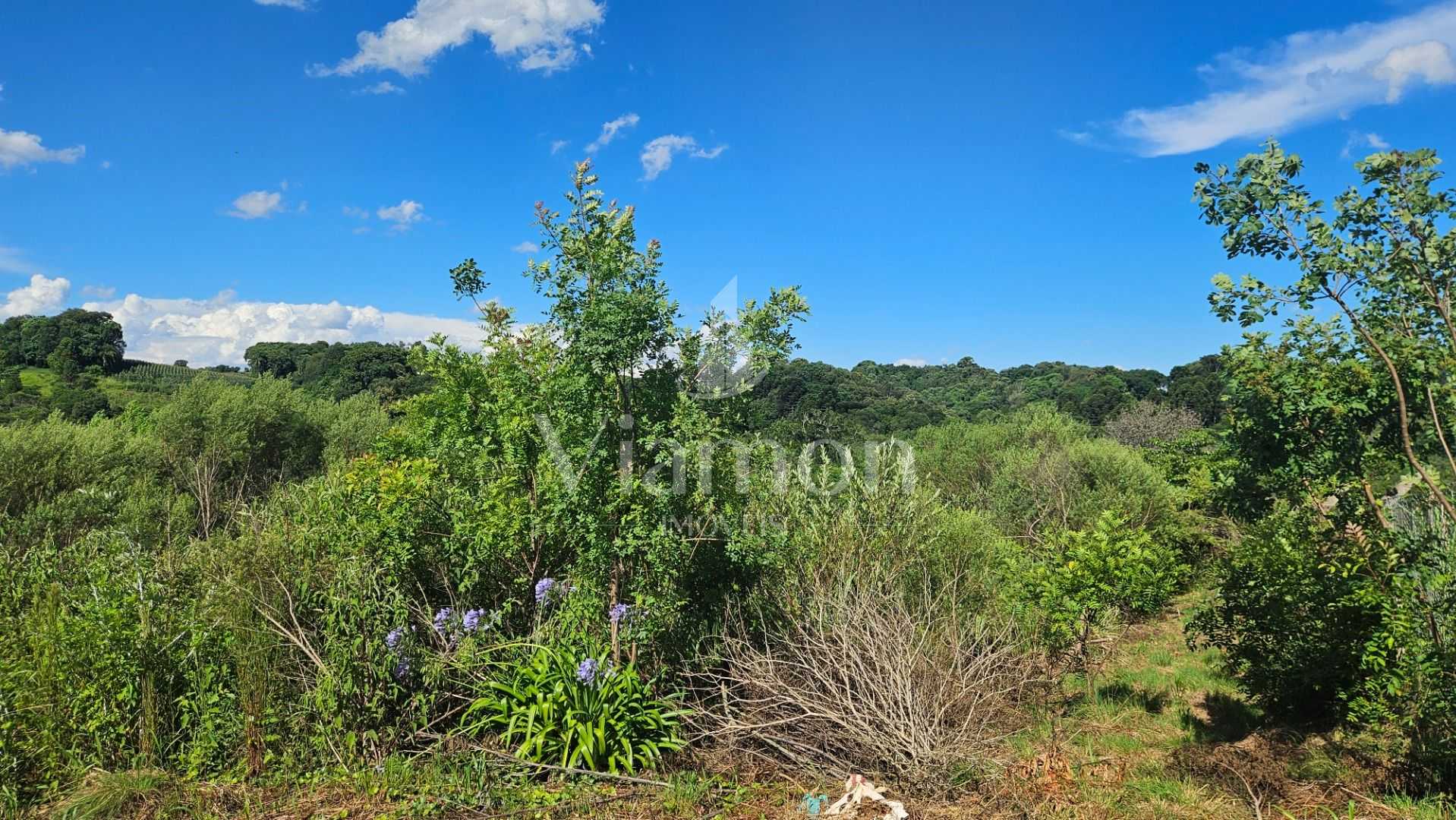 Área de 7.000m  em Contenda  Refúgio com Bosque, Córrego e Nat...