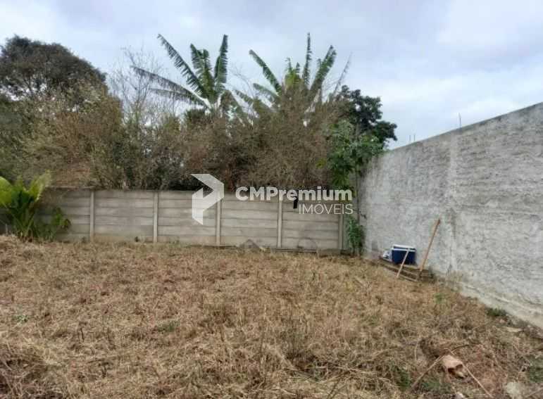 Lote Plano e Murado de 15x50m no Atuba  Pronto para Construir