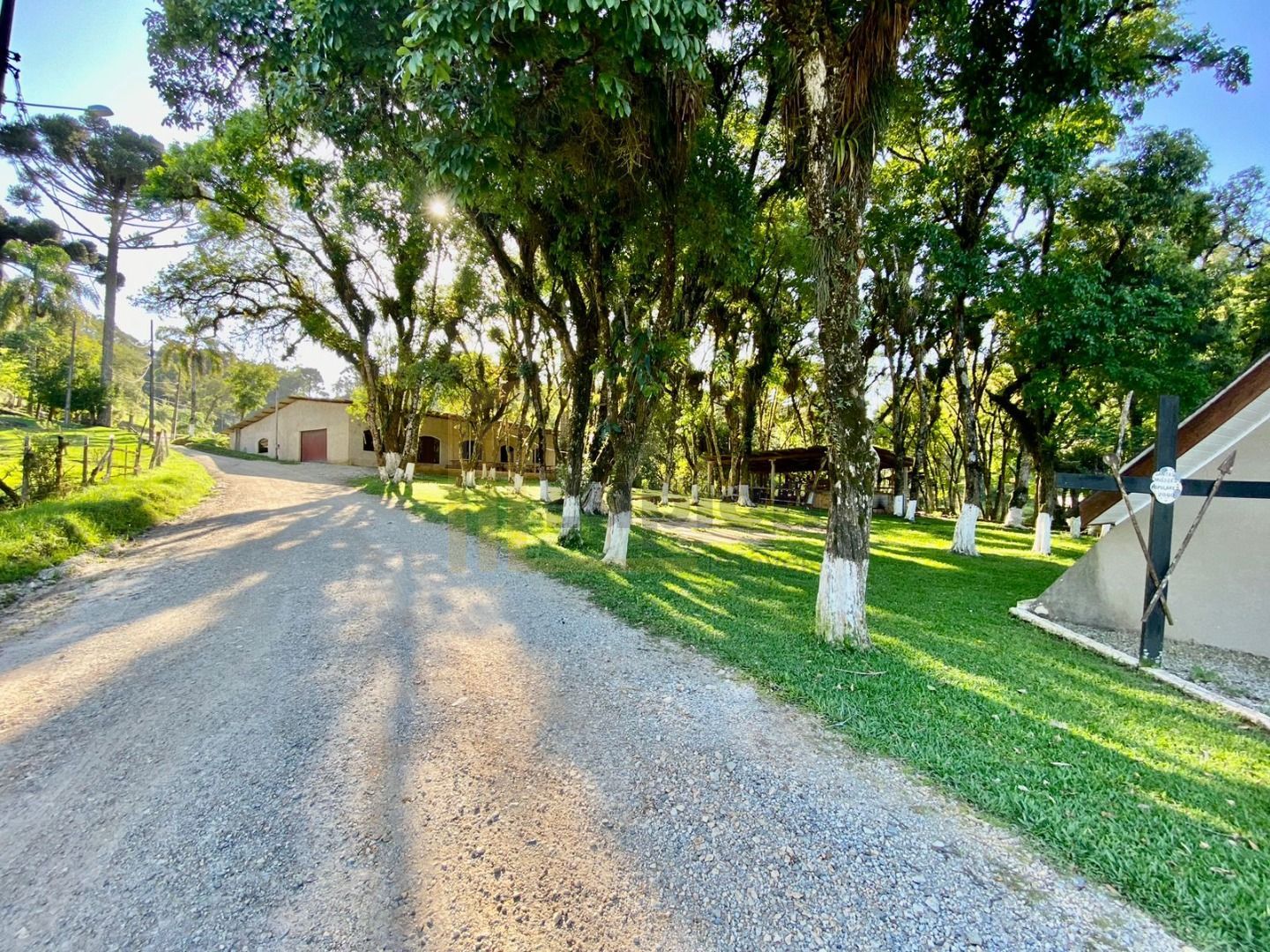 Chácara de 44.000 m  Próxima a Curitiba  Casa Sede, Área Gour...