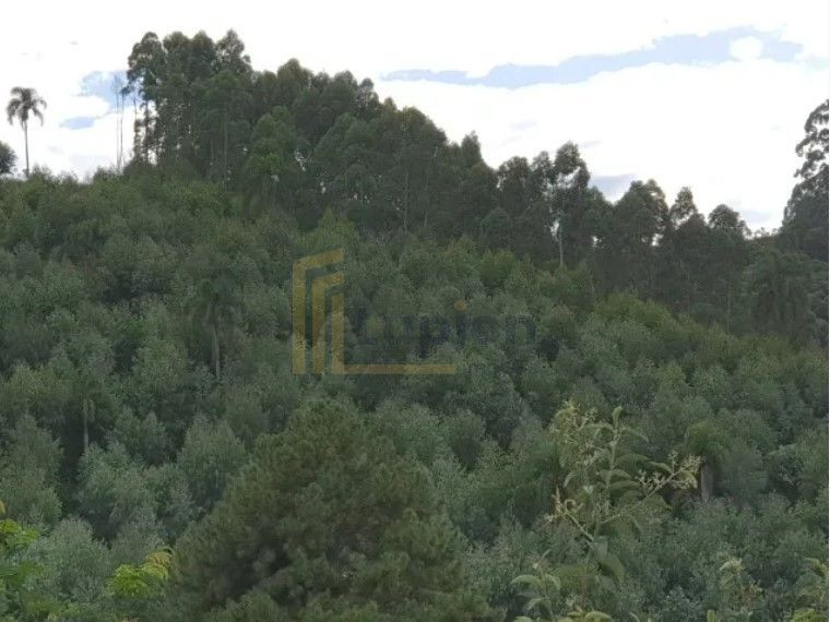 Chácara 48.400 m  em Campo Magro  Venda ou Troca por Imóvel e...