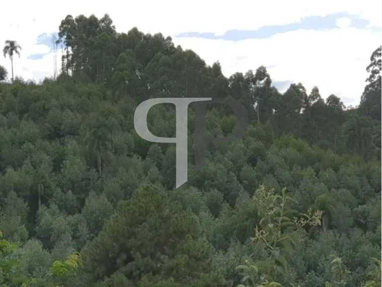 Chácara 48.400 m  em Campo Magro  Venda ou Troca por Imóvel e...
