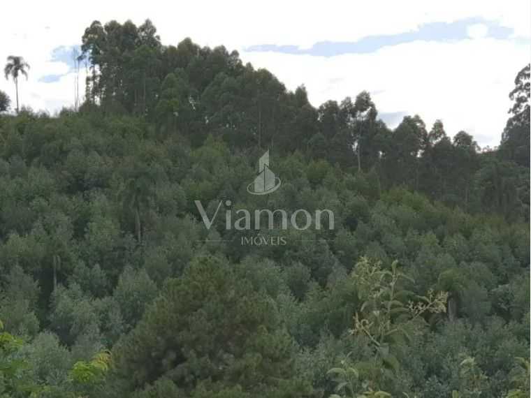 Chácara 48.400 m  em Campo Magro  Venda ou Troca por Imóvel e...