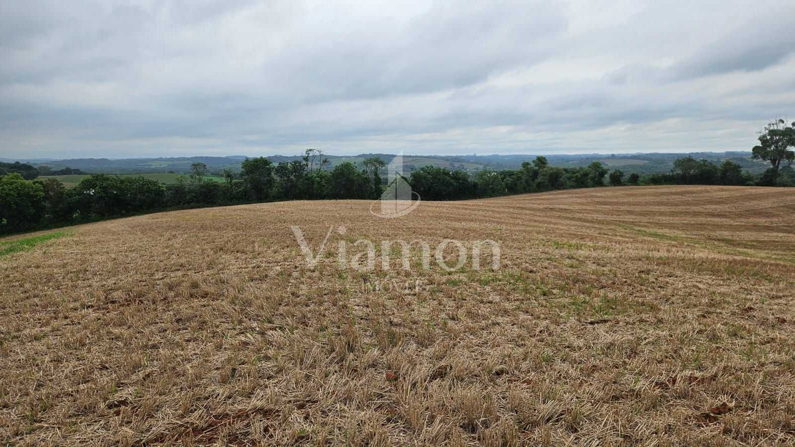 Terreno de 67.700 m  em Araucária  Ideal para loteamento ou co...