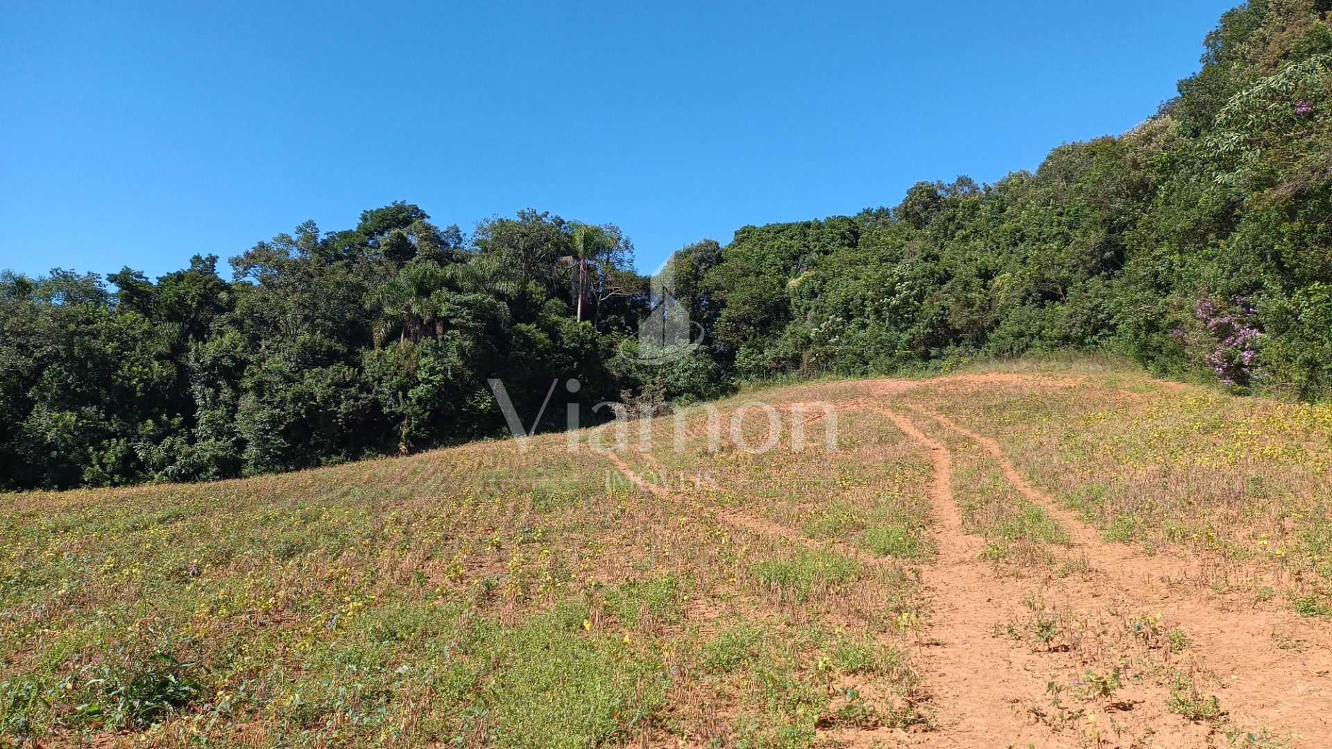 Chácara à Venda em Araucária  Terreno de 23.480 m  com Naturez...