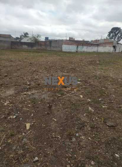 Terreno Plano de 700m  em Colombo  Excelente Localização para ...