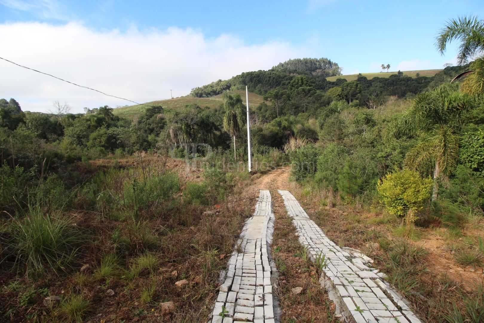 Chácara com Casa, Água Mineral e Amplo Pátio  Quitandinha Lapa