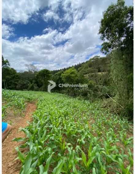 Terreno de 9,46 ha em Tijucas do Sul  Ideal para Agricultura o...