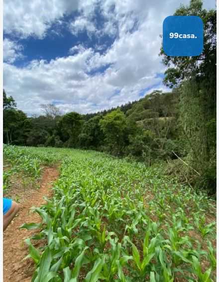 Terreno de 9,46 ha em Tijucas do Sul  Ideal para Agricultura o...