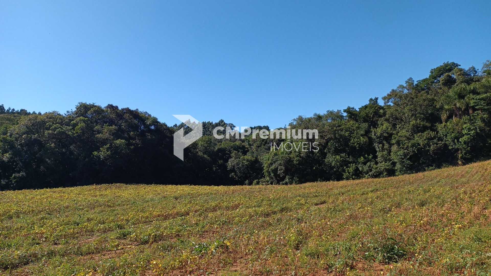 Chácara à Venda em Araucária  Terreno de 23.480 m  com Naturez...