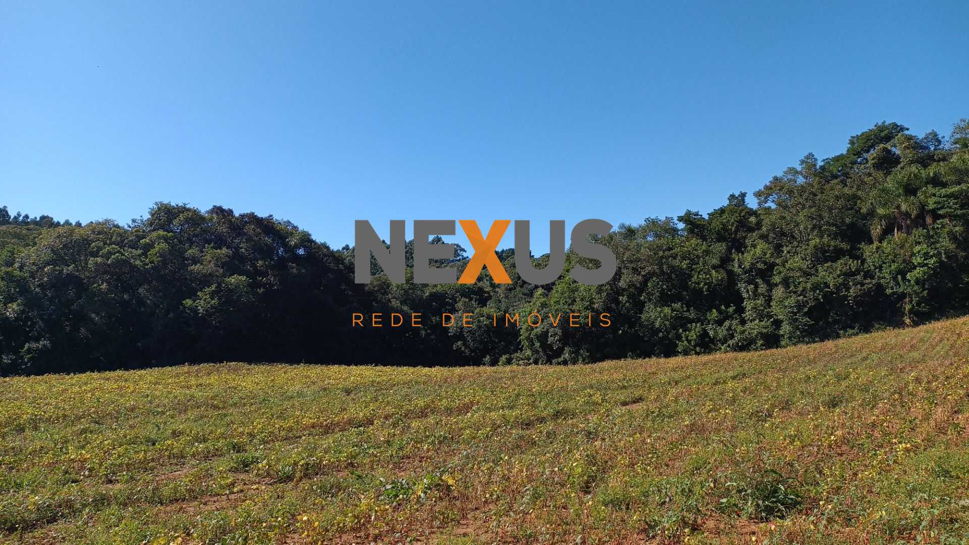 Chácara à Venda em Araucária  Terreno de 23.480 m  com Naturez...