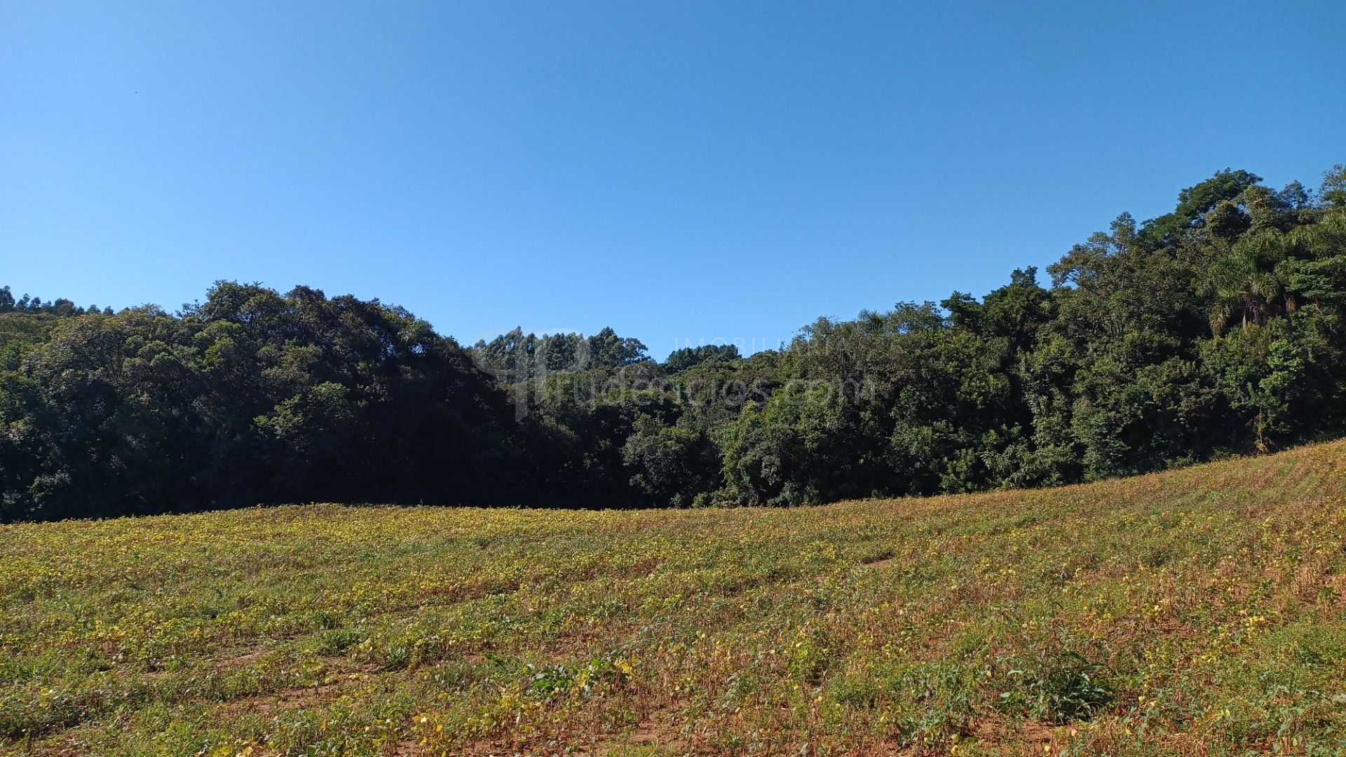 Chácara à Venda em Araucária  Terreno de 23.480 m  com Naturez...