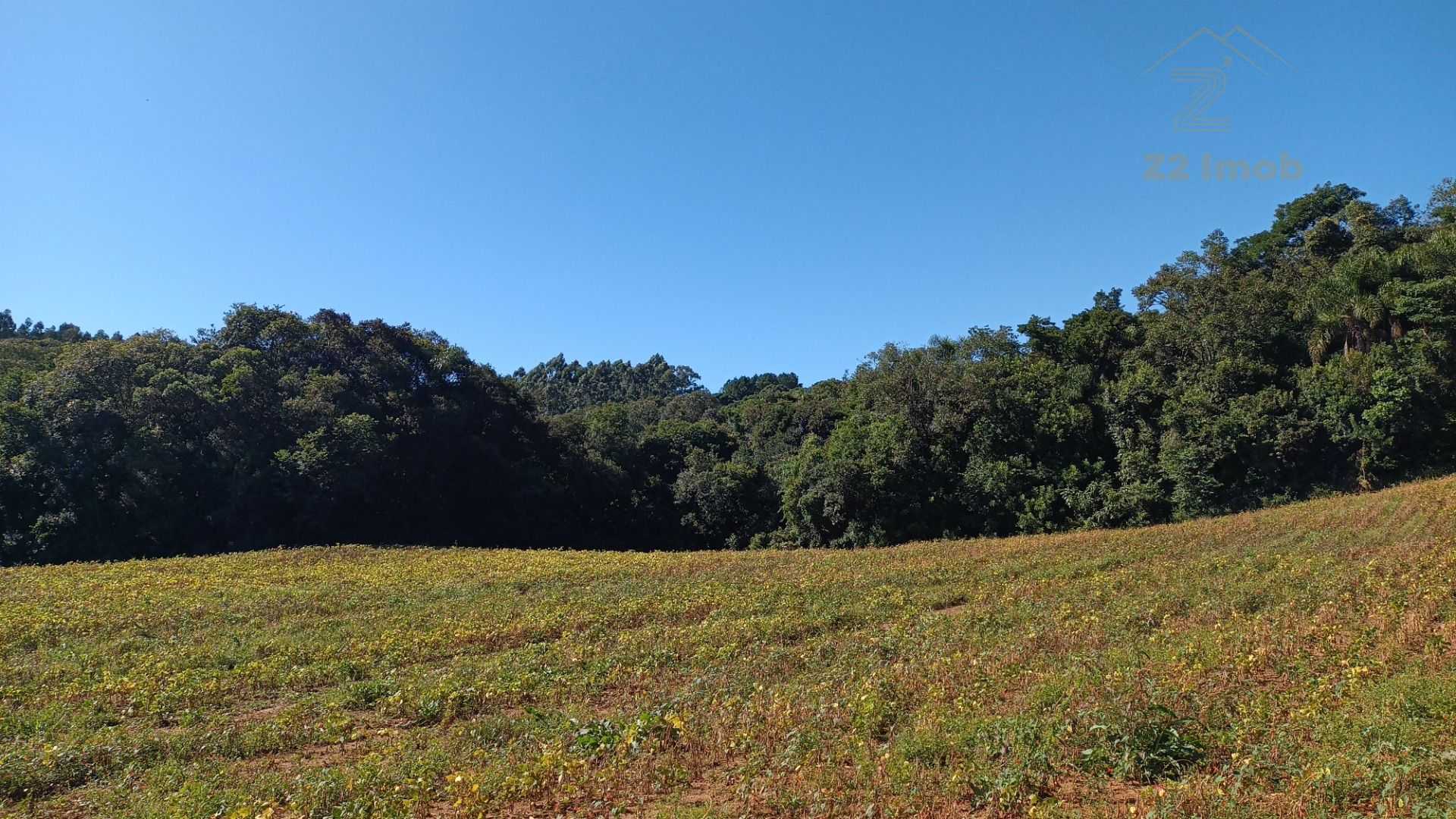 Chácara à Venda em Araucária  Terreno de 23.480 m  com Naturez...